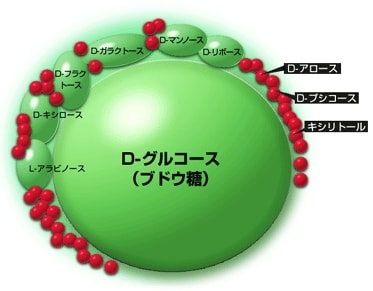 モデル図