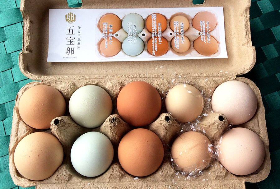 gohoegg4175