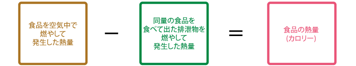 食品を空気中で燃やして発生した熱量）－（同量の食品を食べて出た排泄物を燃やして発生した熱量＝食品の熱量（カロリー）